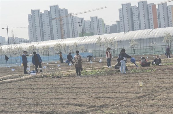 ▲ 독거어르신 등 사회적 배려 대상자를 위한 '위캔팜'운영 모습. ⓒ강동구