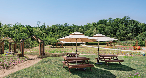 ▲ 파믹스가든 전경. ⓒ강동구