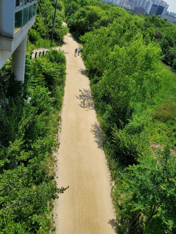 ▲ 한강이 맡아 관리중인 샛강 산책로. ⓒ라이프인