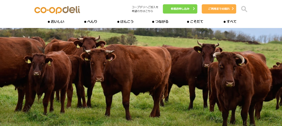 ▲ 코프델리연합회가 MOU를 맺은 홋카이도 기타토카치팜의 유기JAS인증 소들의 모습. 목장에서는 넓은 목초지에 어미소와 송아지를 함께 방목해서 키우고, 무항생제, Non-GMO 사양의 국산 사료를 먹인다(자급률 95% 전후). 축사에서 나온 분뇨는 퇴비로 만들어 인근 농장에 공급되거나 목재칩과 섞어 축사에 깔아 주는 자원순환형축산을 실천하는 곳이다. ⓒ코프델리연합회HP