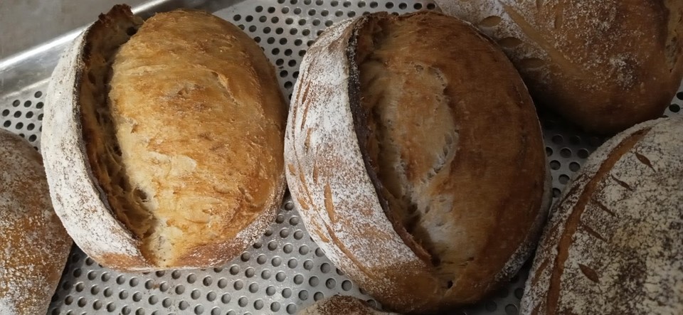 ▲ 햇밀로 천연발효해 만든 깜빠뉴 ⓒ니나의 밀밭