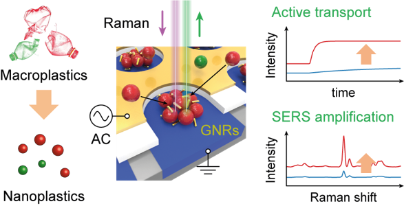 ▲ 전기-광 집게 현상 및 표면증강라만현상을 이용한 나노플라스틱 라만 광검지 메커니즘과 이에 따른 축적시간 감소 및 광신호 증폭.