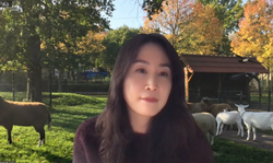 ▲ 조예원 대표. ⓒ온라인 화면 갈무리