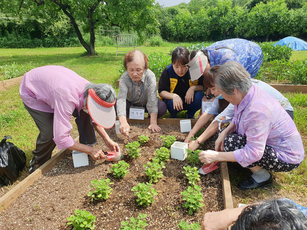ⓒ바람햇살농장 홈페이지