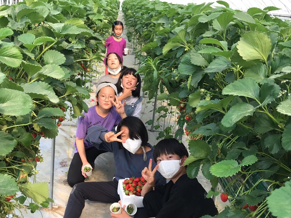 ▲ 로컬농장에 방문한 아이들의 모습. ⓒ상상나래사회적협동조합