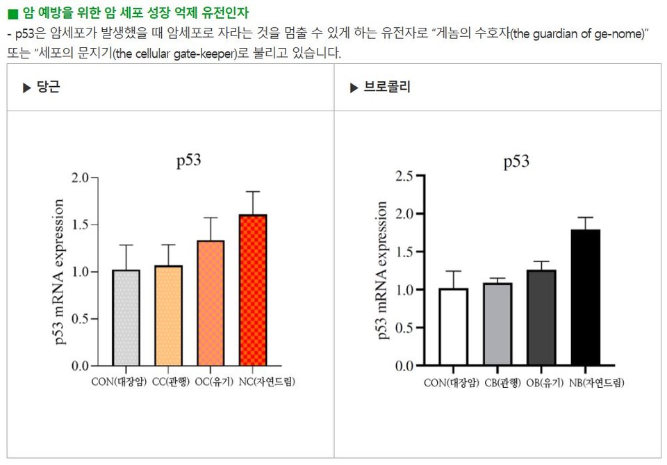 ▲ p53 세포 설명 및 그래프.