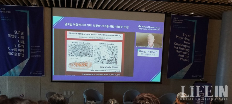 ▲ 사이프리드 교수가 온라인으로 심포지엄에서 발제하고 있다. ⓒ라이프인