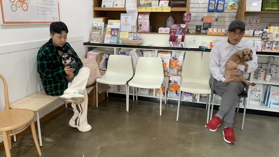 ▲ 반려동물 진료를 위해 대기하고 있는 반려인들.