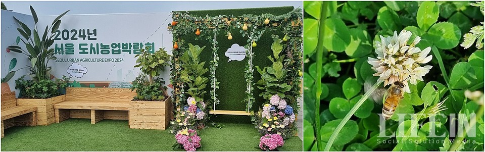 ▲ 2024년 서울도시농업박람회 현장.