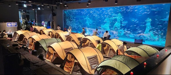 ▲ 아쿠아리움에서의 1박2일. ⓒ공감 사회적협동조합