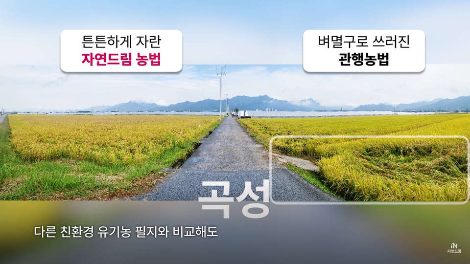 ⓒ유튜브 '아이쿱자연드림' 채널 온라인 갈무리