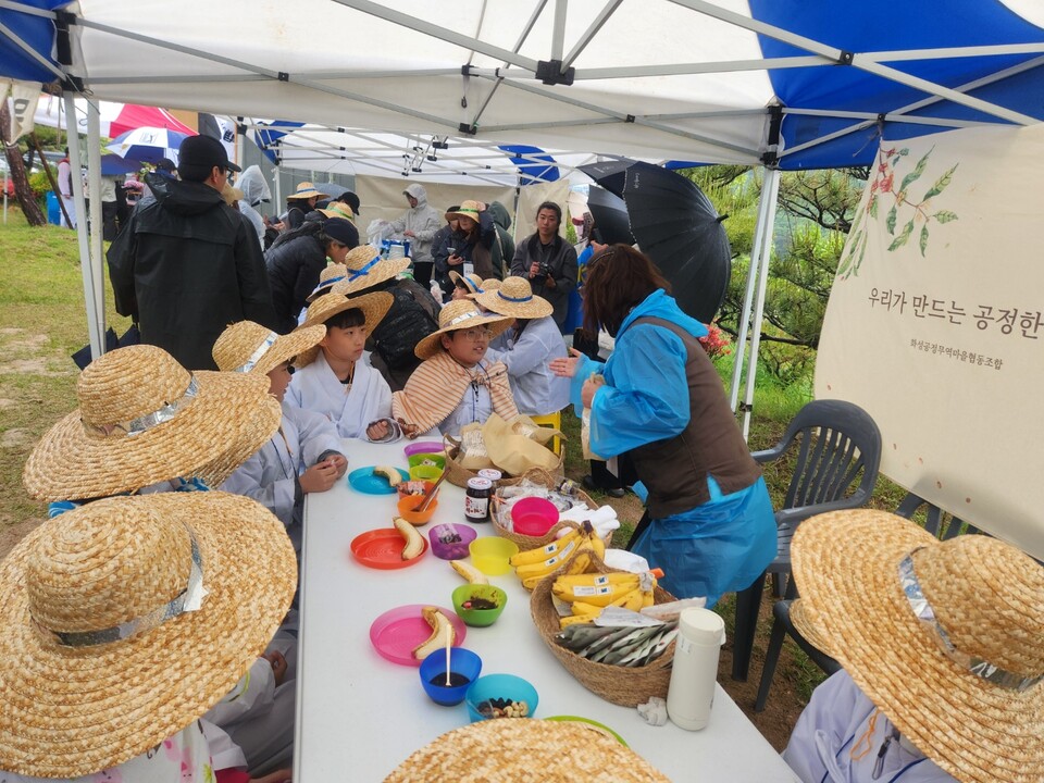 ▲ 2025년 5월 10일 팔탄민요 전통 모심기 재현현장에서 진행된 공정무역부스에서 아이들이 공정무역 바나나와 체리로 카나페를 만들어 시식하고있다. ⓒ화성공정무역마을협의회