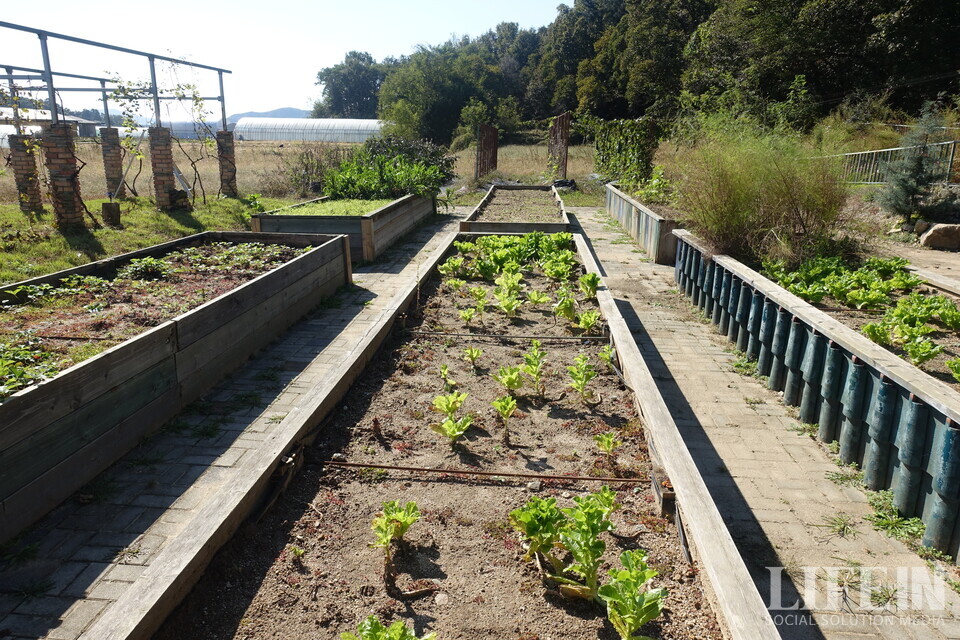 ▲ 센터 앞 사회적농장 한켠에는, 어르신들이 농작물을 기르는 텃밭이 조성되어 있다. ⓒ라이프인