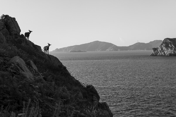 ⓒ노순택, 흑산, 2025